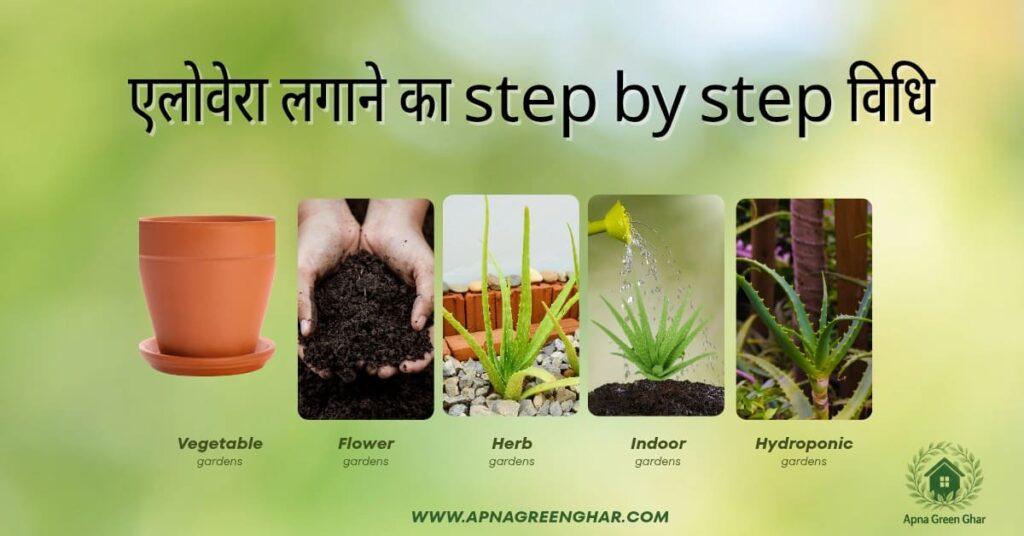 एलोवेरा लगाने की Step-by-Step विधि