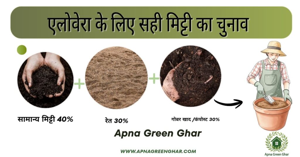 एलोवेरा के लिए सही मिट्टी (Soil Mix)