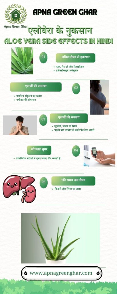 Aloe Vera Side Effects in Hindi