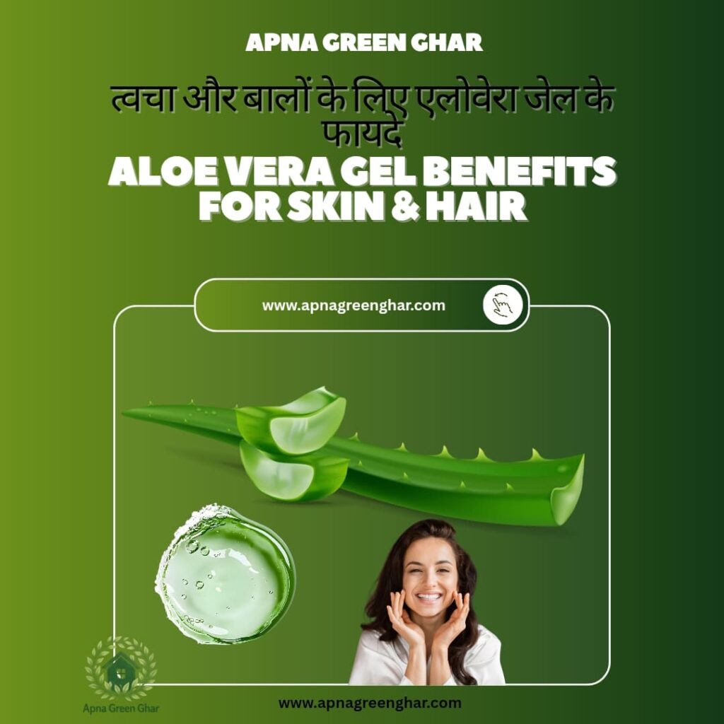 एलोवेरा का सही उपयोग कैसे करें?