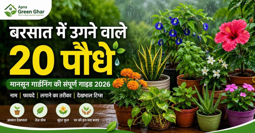 बरसात में उगने वाले 20 पौधे और मानसून गार्डनिंग गाइड