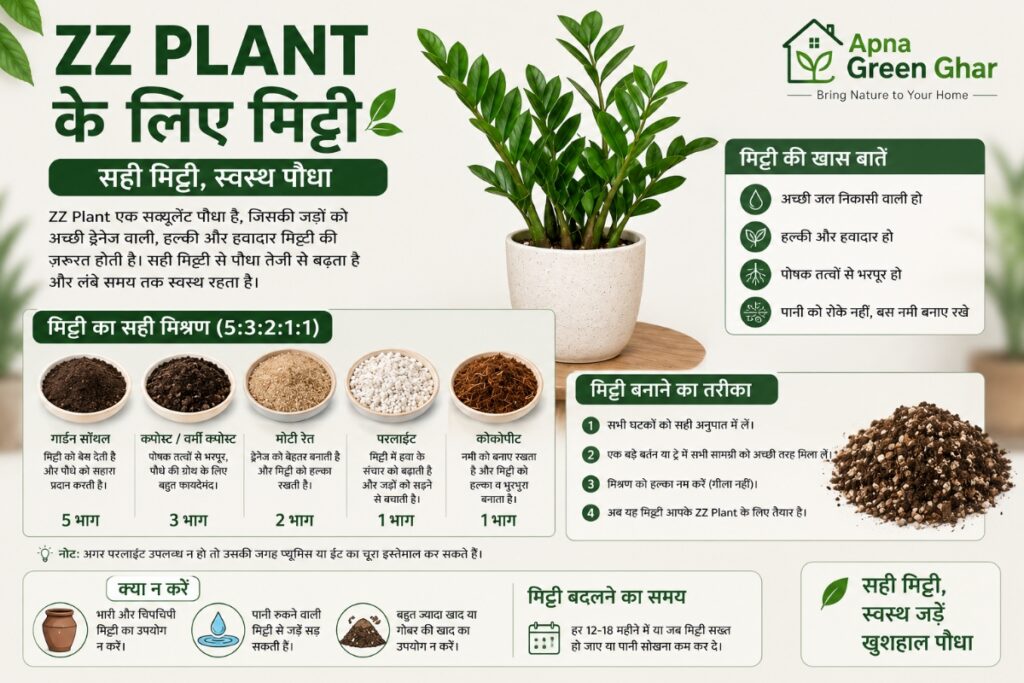 ZZ Plant के लिए मिट्टी कैसे तैयार करें?