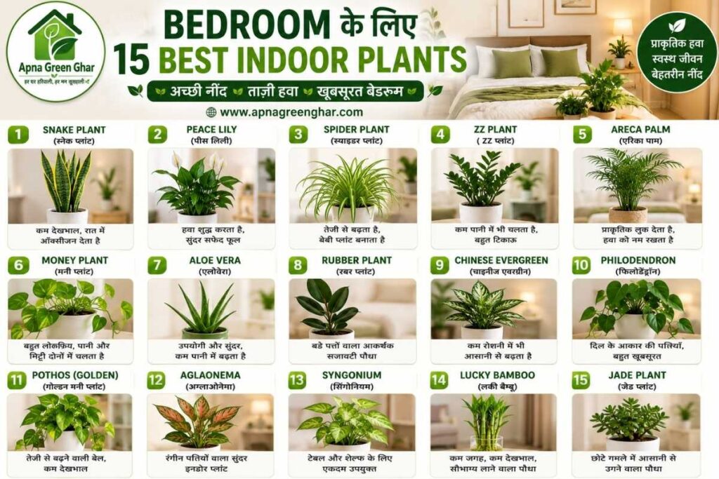 Bedroom के लिए 15 Best Indoor Plants