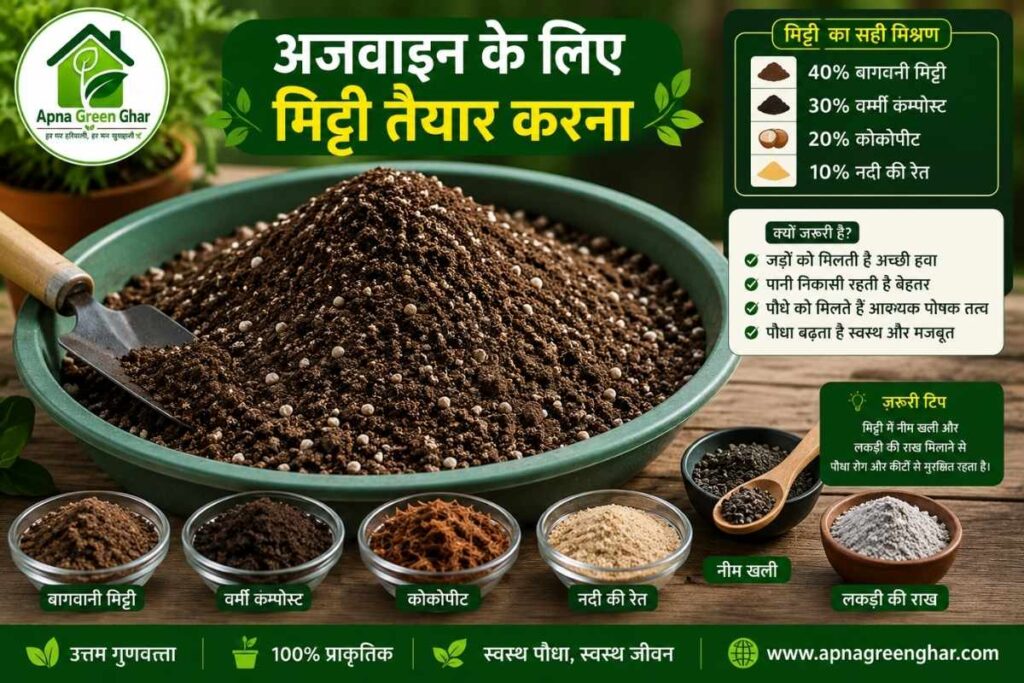 अजवाइन के लिए सबसे अच्छी मिट्टी