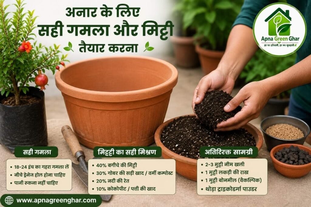 गमले में अनार के लिए सही गमला कैसे चुनें?