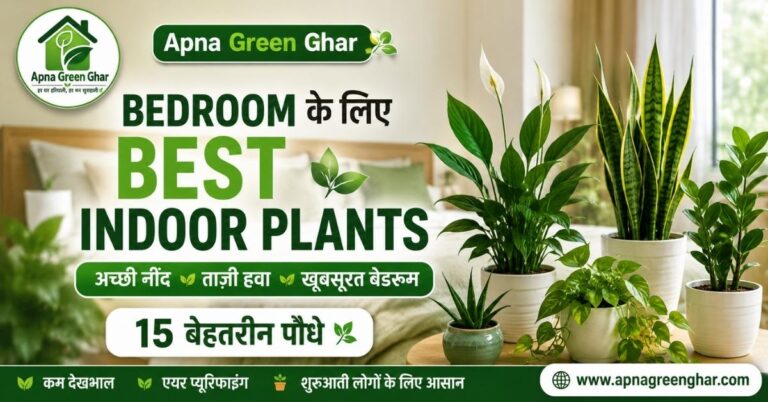 Bedroom के लिए Best Indoor Plants