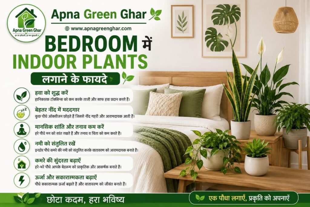 Bedroom के लिए Best Indoor Plants