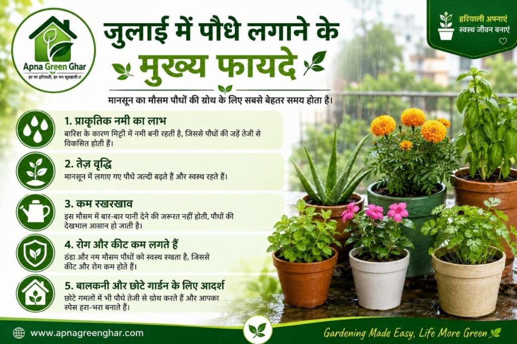 जुलाई में गमलों में लगाने के लिए 15 बेहतरीन पौधे 