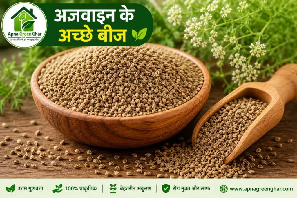 अजवाइन के लिए सबसे अच्छी जैविक खाद