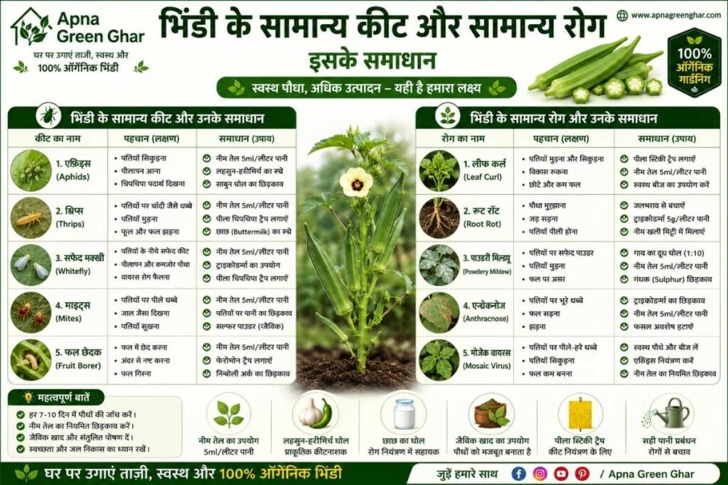 भिंडी कैसे उगाएं