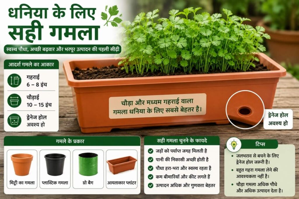 गमले में धनिया लगाने के लिए सही गमला