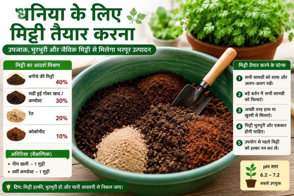 धनिया के लिए सही मिट्टी कैसे तैयार करें