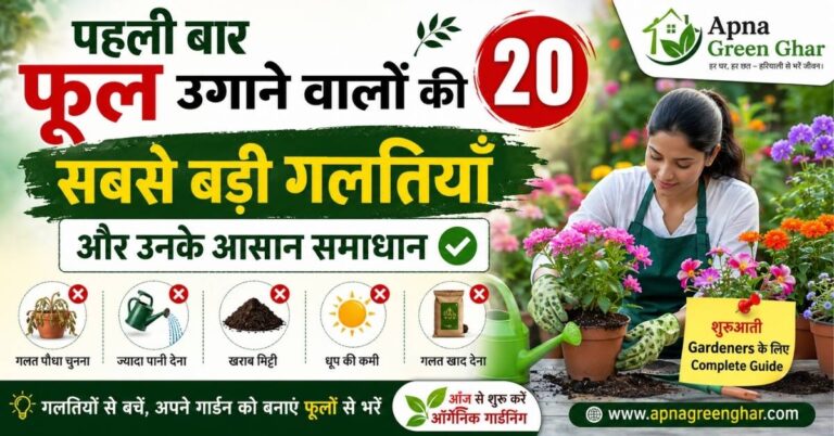 Flower Gardening पहली बार फूल कैसे उगाएं