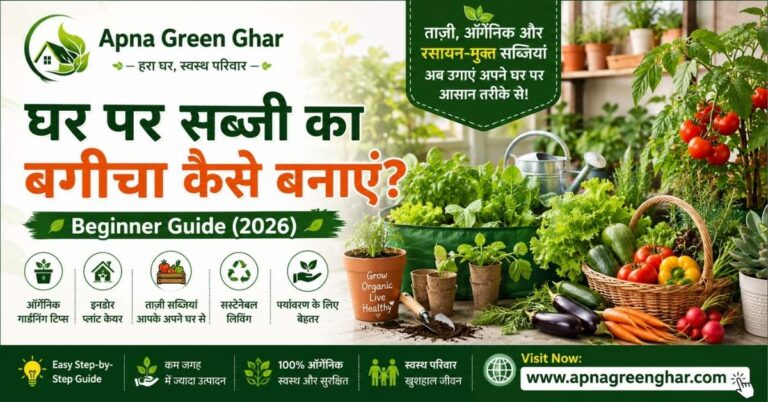 घर पर सब्जी का बगीचा कैसे बनाएं Beginner Guide 2026