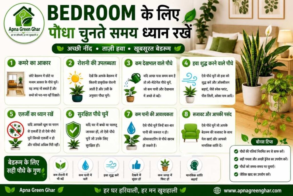 Bedroom के लिए पौधा चुनते समय ध्यान रखें
