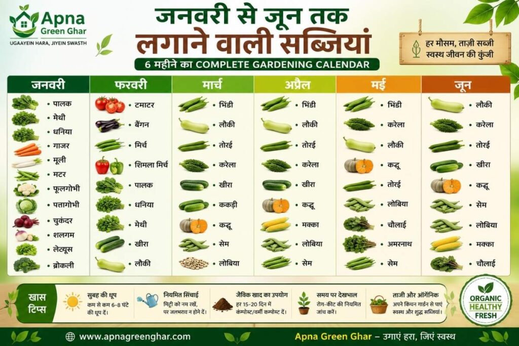 January to June Vegetable Gardening Clander