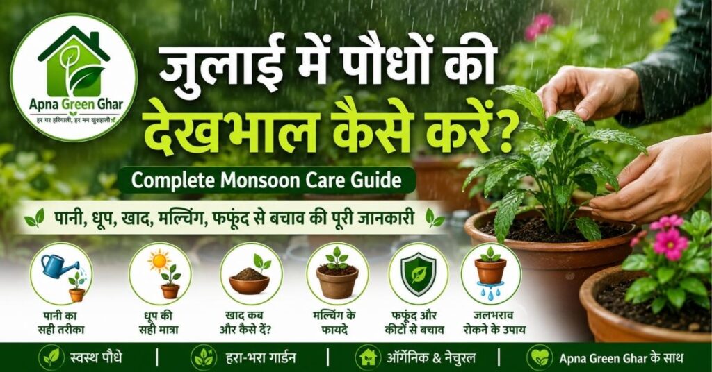 जुलाई में पौधों की देखभाल