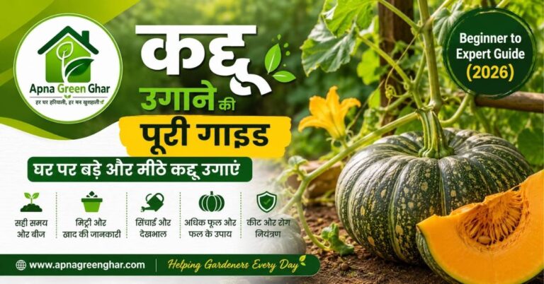 कद्दू उगाने की पूरी गाइड