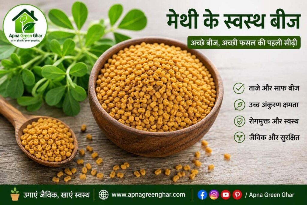 सही बीज कैसे चुनें?
