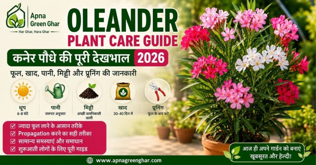 Oleander Plant Care Guide in Hindi 2026 | कनेर पौधे की देखभाल