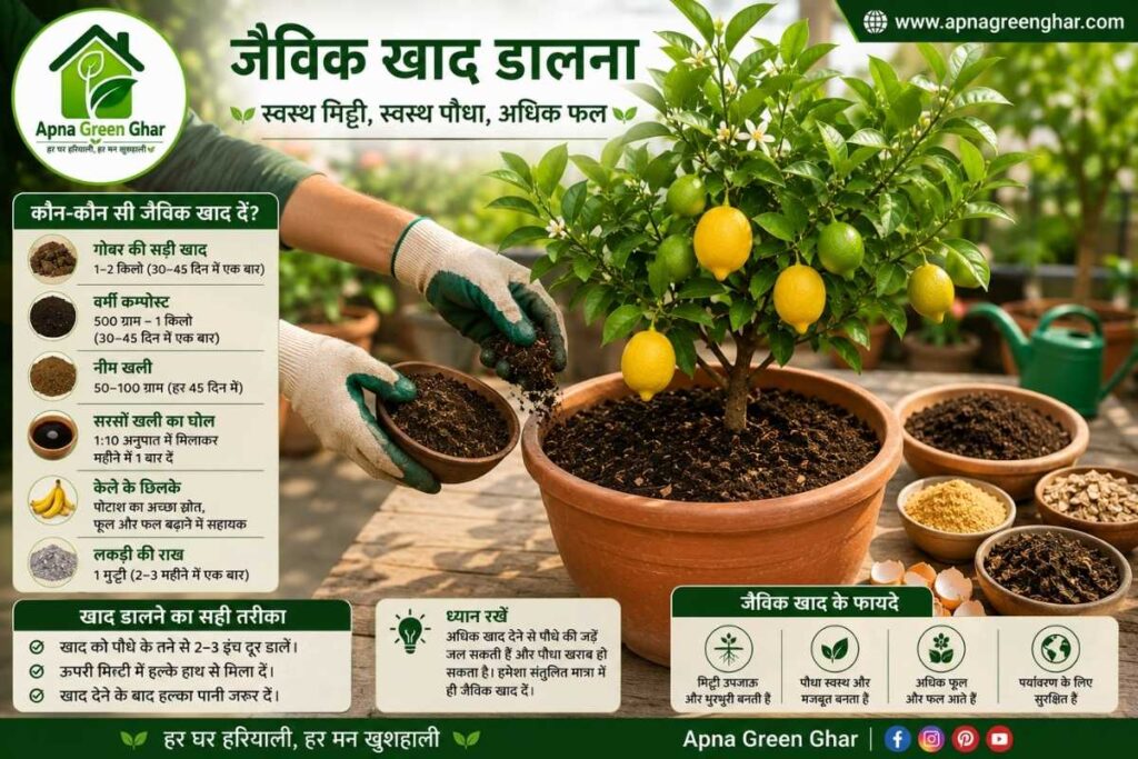 फूल और फल बढ़ाने के लिए जैविक उपाय
