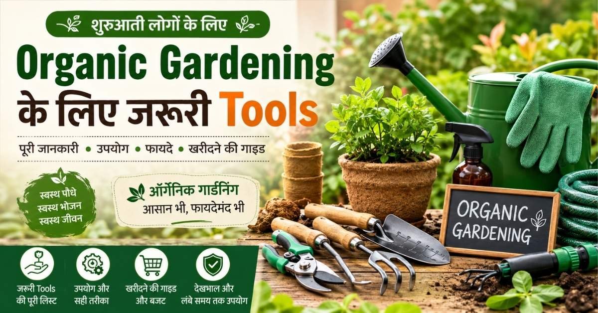 Gardening Tools Guide for Beginners (2026) | Essential Garden Tools