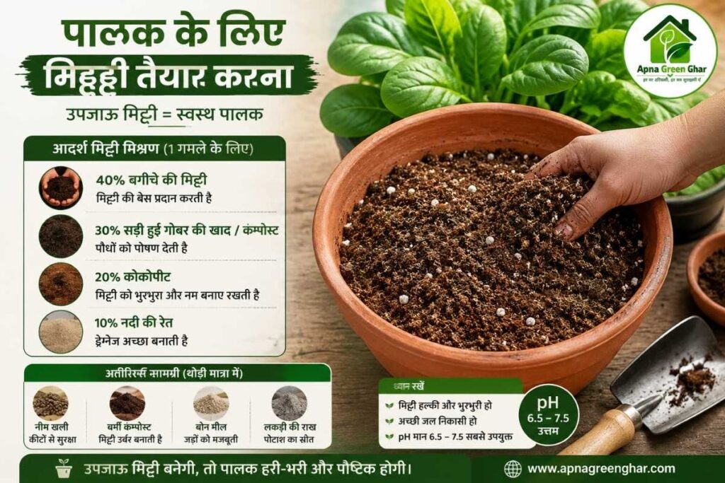 पालक सबसे अच्छी मिट्टी कैसे 