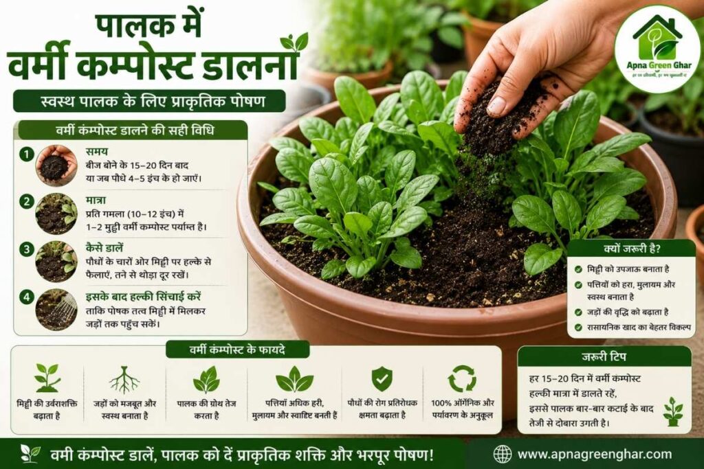 पालक वर्मी कम्पोस्ट