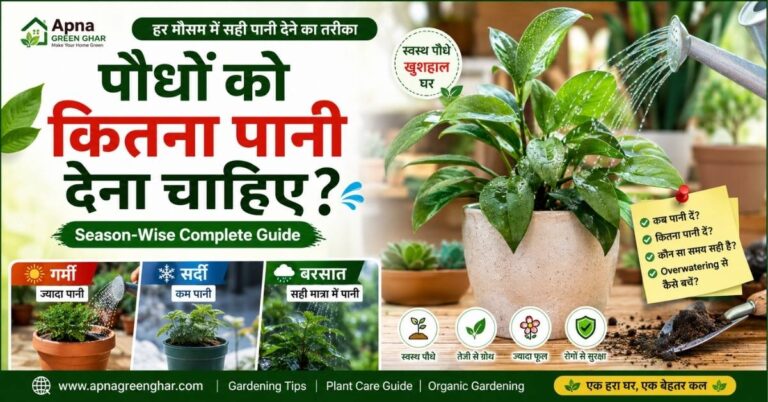 90% लोग करते हैं यह Watering Mistake! जानिए सही तरीका