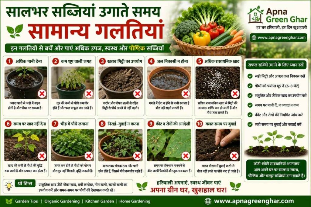 सालभर उगाने वाली सब्जियां की देखभाल के महत्वपूर्ण नियम