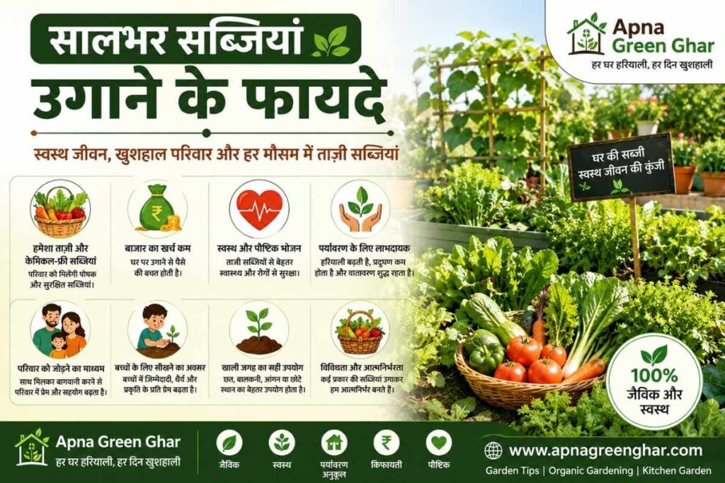 सब्जियां  सूची 