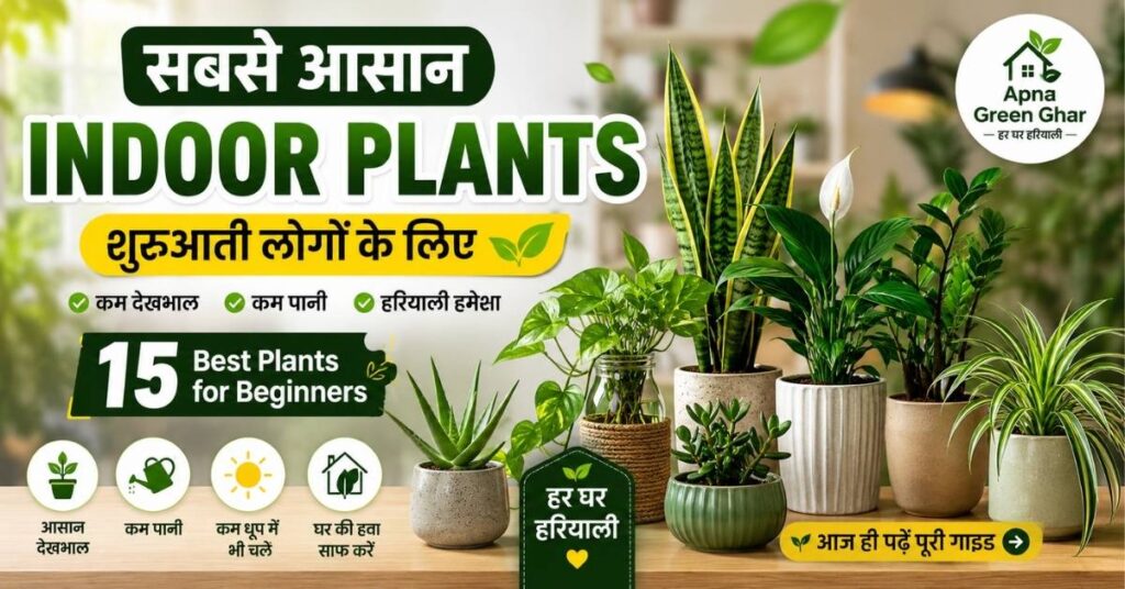 सबसे आसान Indoor Plants शुरुआती