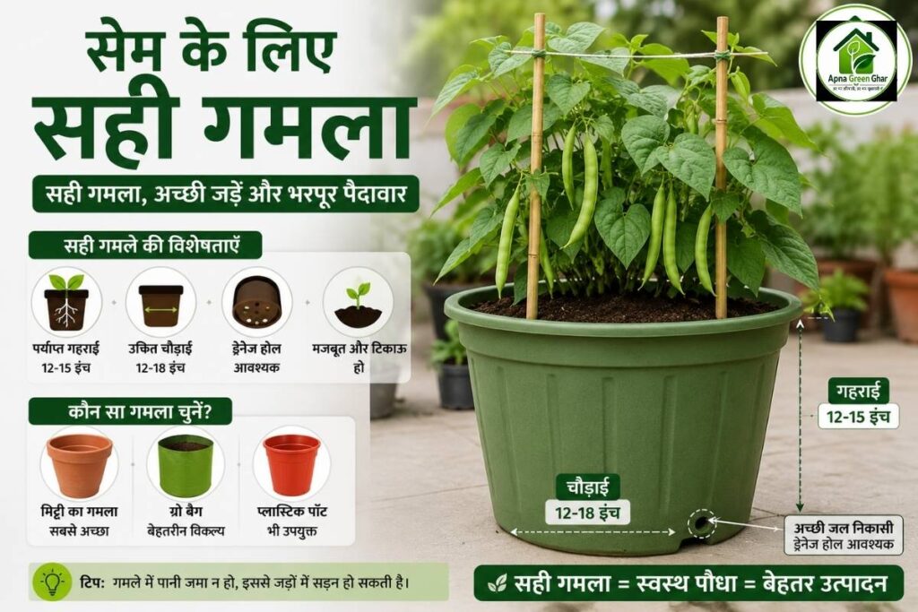 सही गमला कैसे चुनें