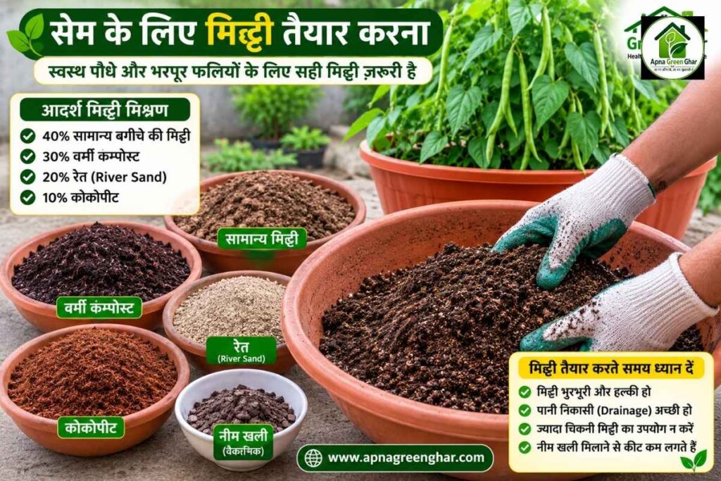सही मिट्टी कैसे तैयार करें