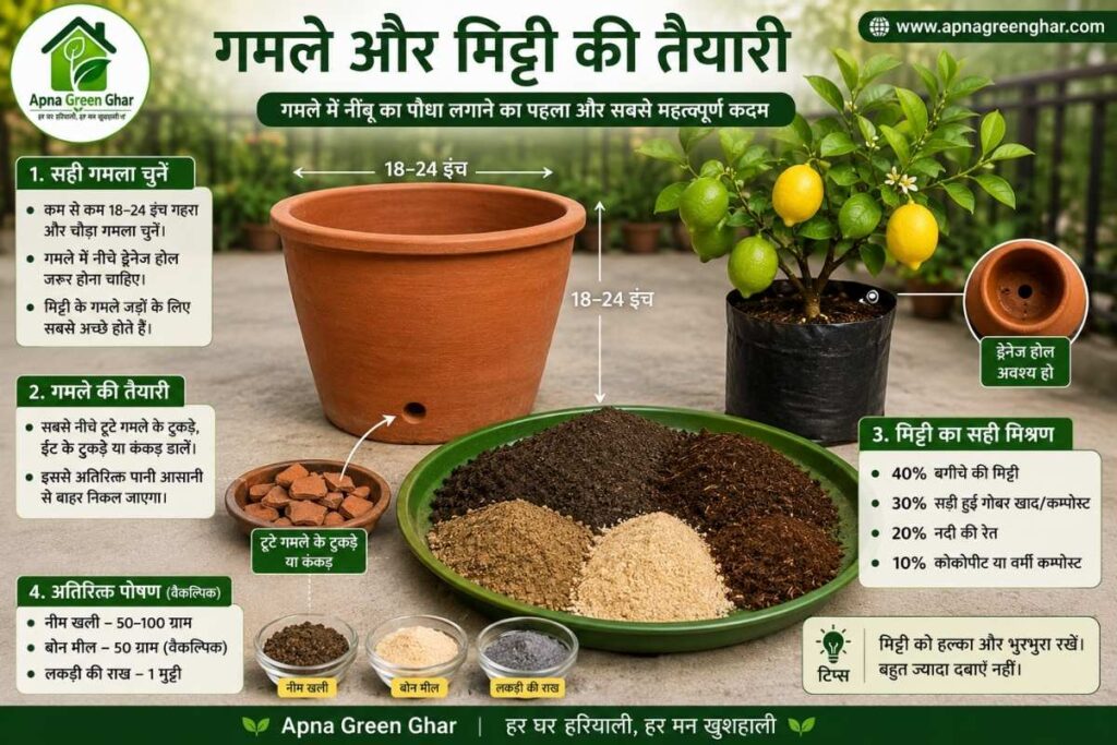 गमले में नींबू के लिए सही गमला कैसे चुनें?