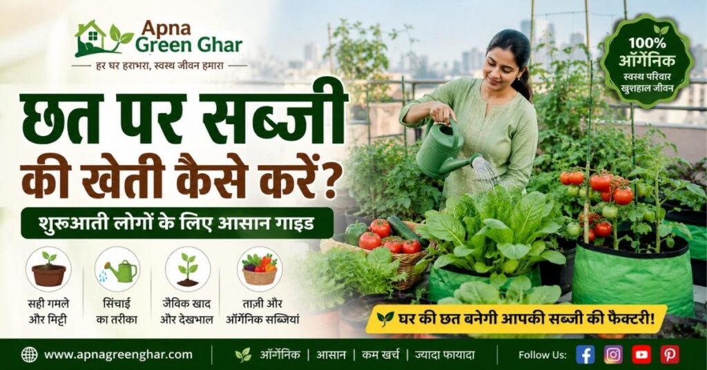 छत पर सब्जी की खेती कैसे करेंTerrace Gardening