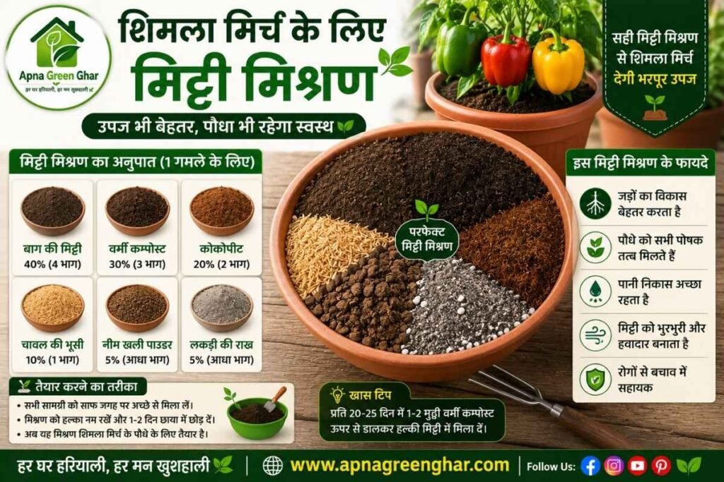 शिमला मिर्च के लिए सही मिट्टी