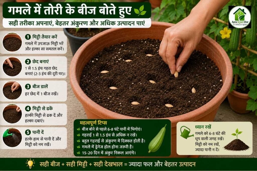 Step-by-Step रोपण प्रक्रिया
