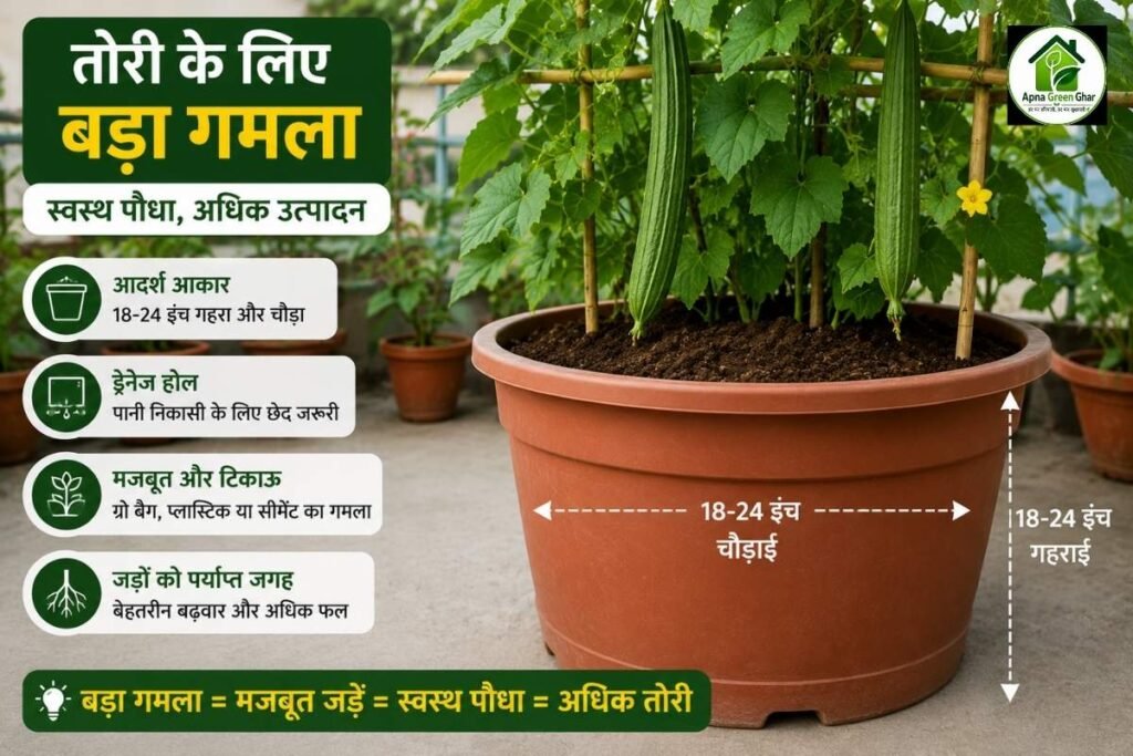 सही गमला कैसे चुनें?-Apna Green Ghar