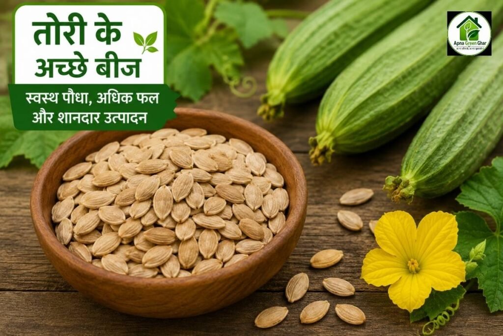 अच्छा बीज कैसे चुनें?
